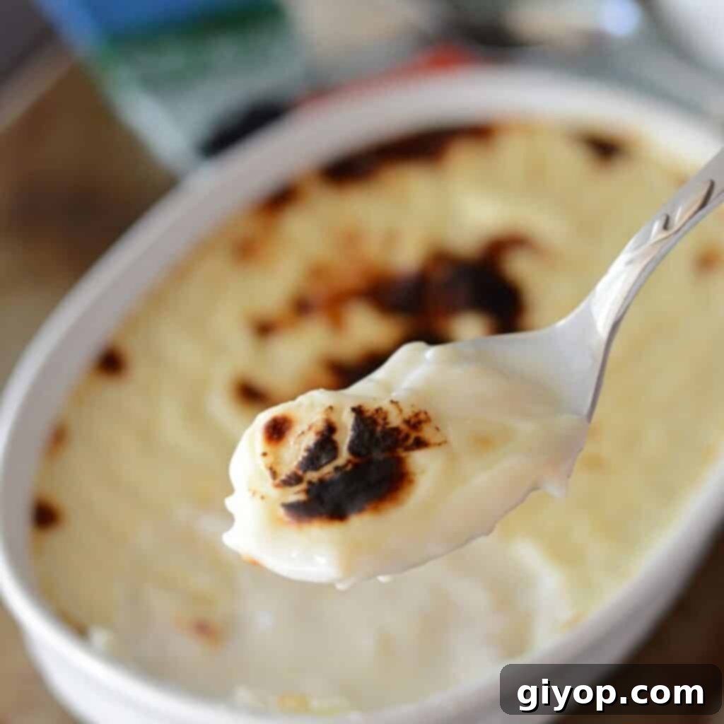 A spoon delicately scooping a generous portion of creamy rice pudding from an elegant oven dish, ready to be enjoyed.