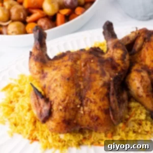 A close up look at a dish with yellow rice and chicken.
