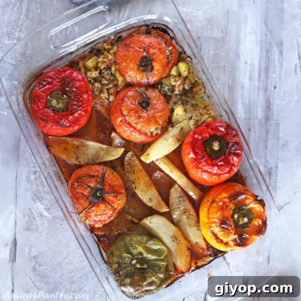 A bird's eye image of an oven dish of gemista, showcasing perfectly baked stuffed vegetables.