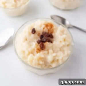 An overhead view of some bowl with rice pudding garnished with cinnamon and raisins.