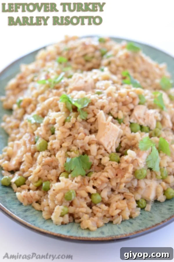 A plate of food with rice, Chicken and Barley