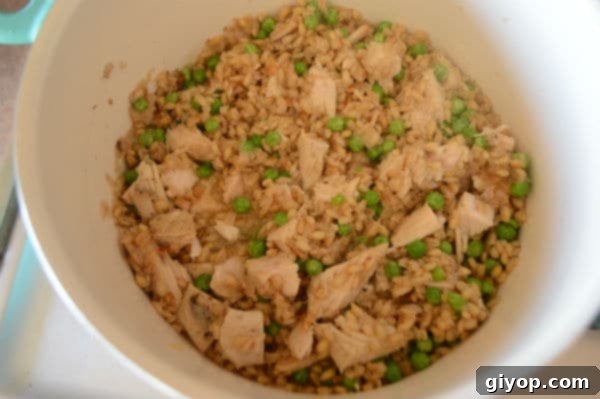 A bowl of food, with Turkey and Barley inside