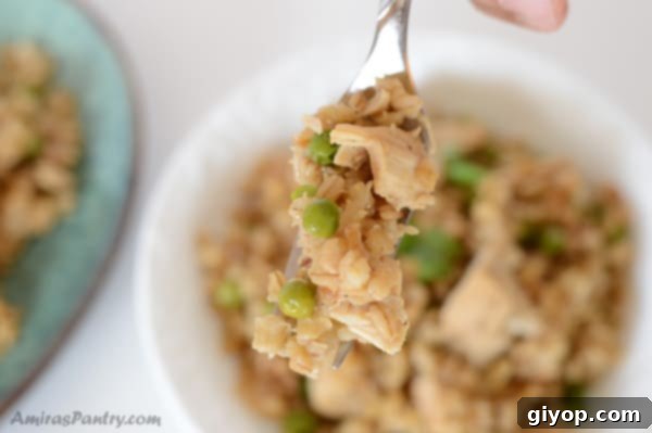 A close up of a plate of food, with Barley and Risotto