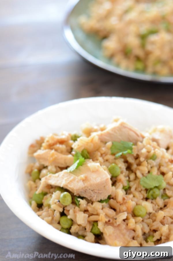 A bowl of food on a plate, with Barley and Risotto