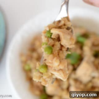 A close up of a plate of food, with Barley on a spoon
