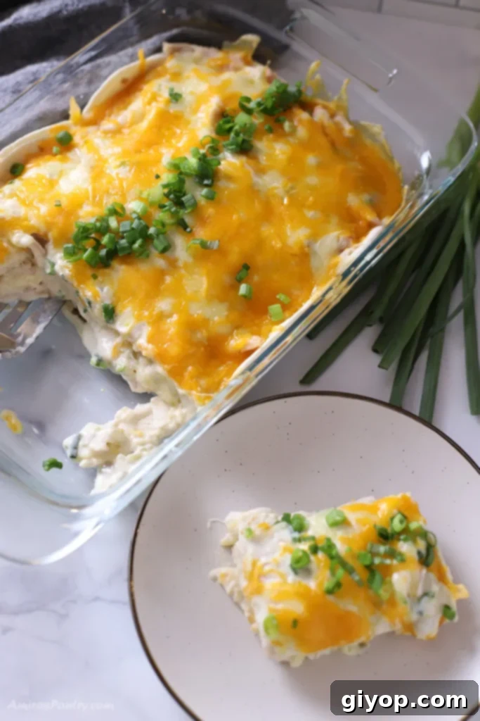 Optimized Eating Blueprint 4 A bird's eye image of the casserole.