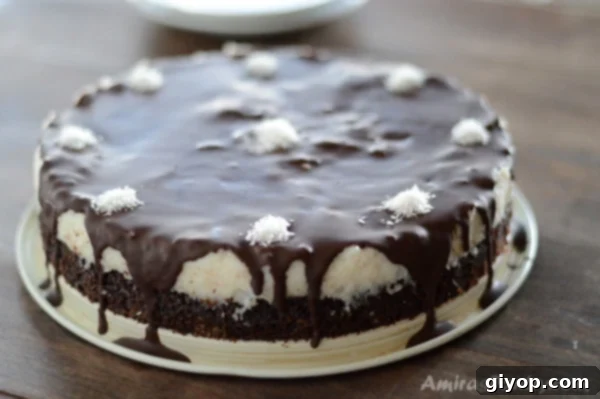 A close-up shot of a beautifully presented Bounty cake slice on a white plate, highlighting the distinct layers of rich brownie, sweet coconut, and a glistening dark chocolate topping. Garnish with a sprig of mint and a few orange zest or pistachios.