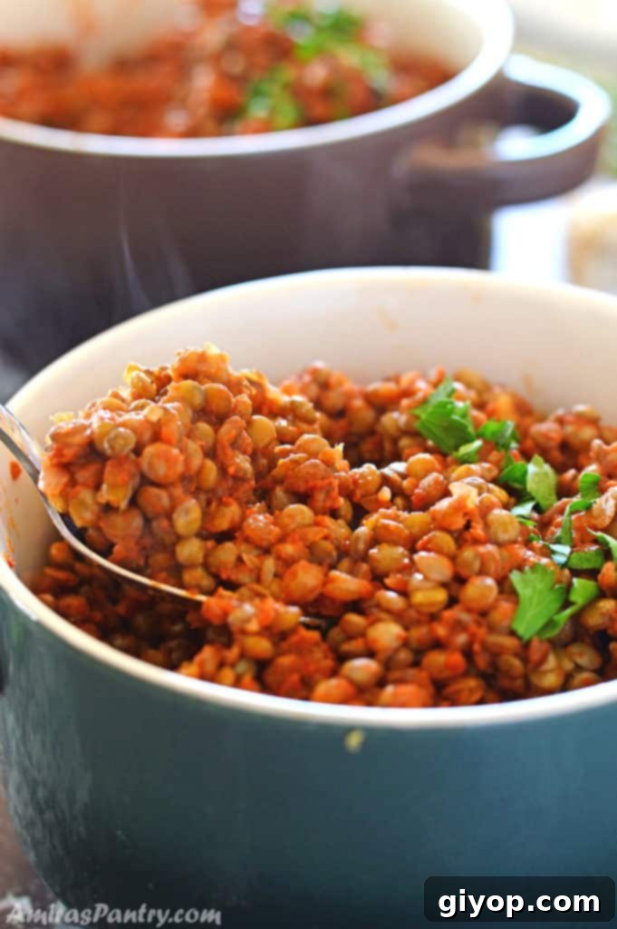 A bowl of food on a table, with a rich, flavorful vegan lentil and vegetable stew, ready to be served and enjoyed.