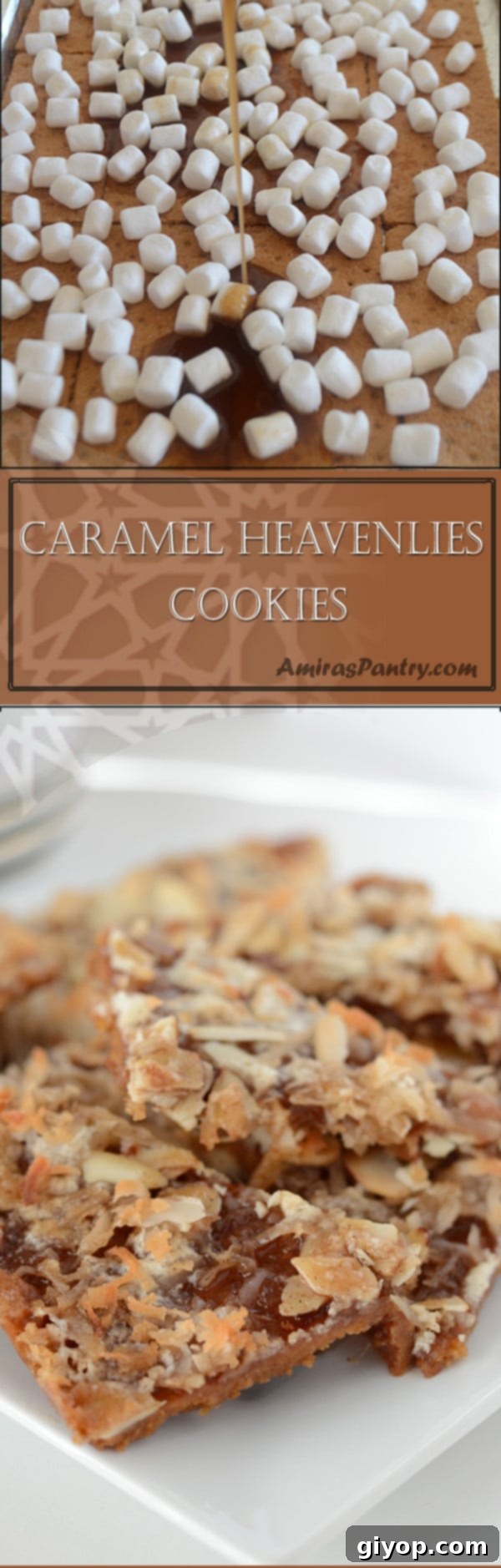 An infograph for Caramel Heavenlies Cookies recipe, summarizing key ingredients and steps