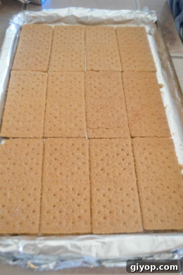 A photo showing a baking pan neatly lined with graham cracker biscuits