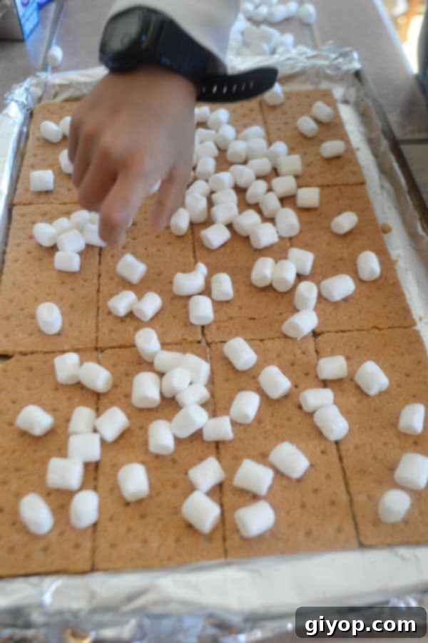 A photo showing a baking pan with graham cracker biscuits topped with miniature marshmallows