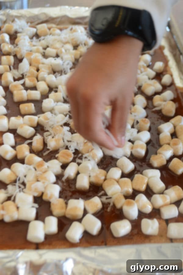 A photo showing a baking pan with graham crackers, marshmallows, and a hand sprinkling nuts