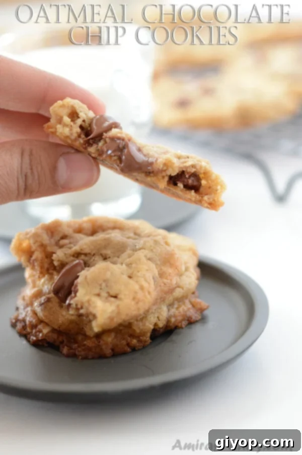 A perfectly baked oatmeal chocolate chip cookie on a plate, with a hand holding another half-eaten cookie