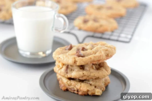 A close-up of a plate brimming with golden-brown oatmeal chocolate chip cookies, served with a refreshing glass of milk