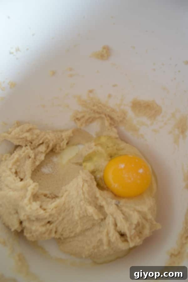 A mixing bowl with butter and shortening, ready to be beaten for the cookie dough