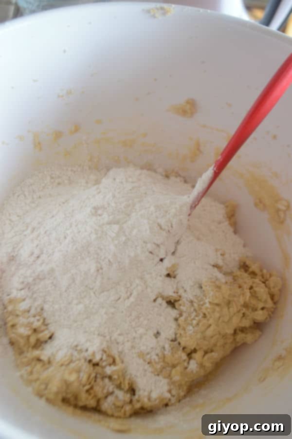 The cookie dough after adding the dry ingredients, showing a rich, thick texture ready for final additions