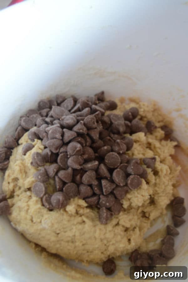 A close-up of the finished cookie dough, studded with chocolate chips and walnuts, ready for chilling