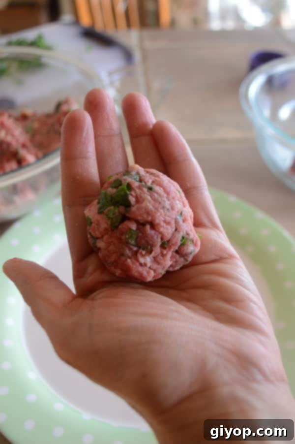 A piece of food, a perfectly shaped beef ball, held in a hand before cooking.