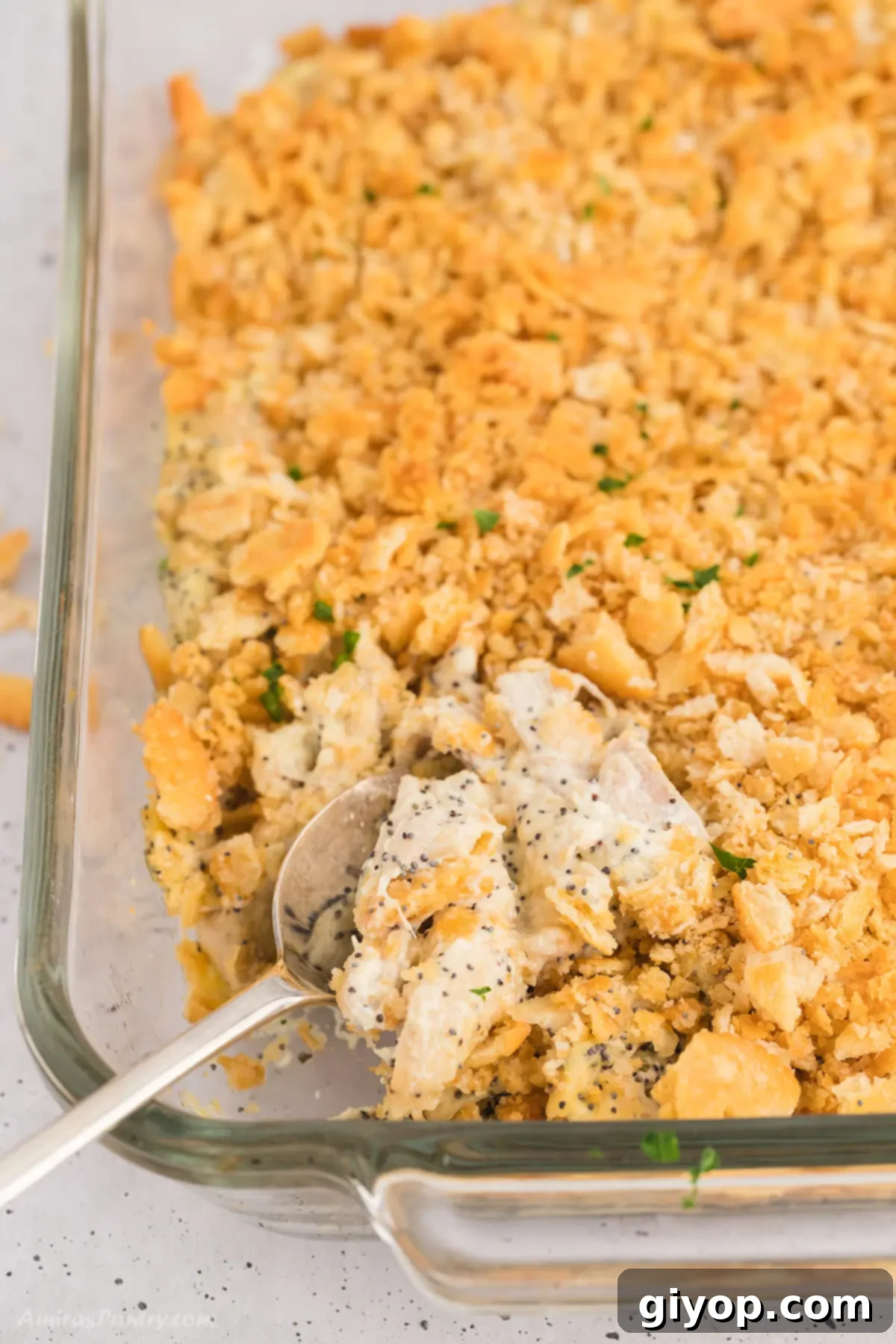 A golden-brown poppy seed chicken casserole, freshly baked and ready to serve.