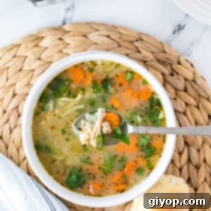 Hearty Instant Pot Chicken and Rice Soup 4 An overhead view of a white bowl with chicken and rice soup.