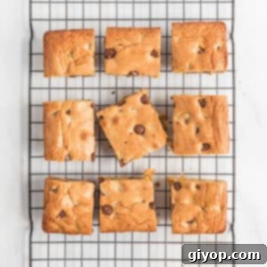 A top view of chocolate chip blondies squares on a wire rack.