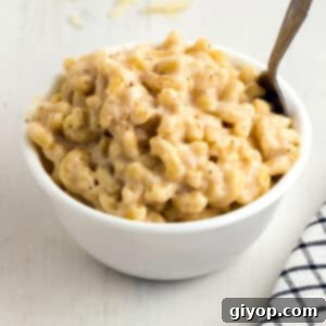 A close up image on a bowl with some mac and cheese with a spoon in it.