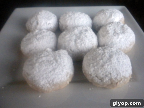 A close up of a plate with sugar cookies, freshly baked Kahk ready to be served, dusted with powdered sugar.