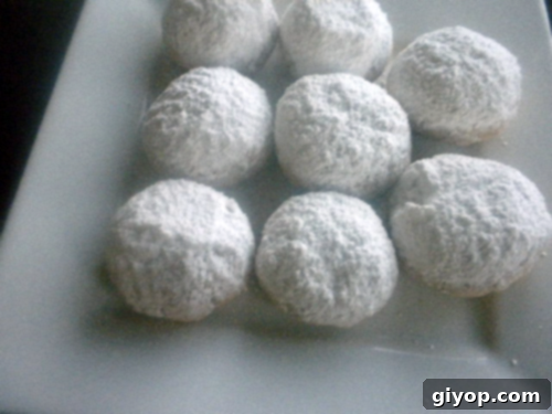 A close up of sugar cookies, perfectly baked and dusted Kahk ready for enjoyment.