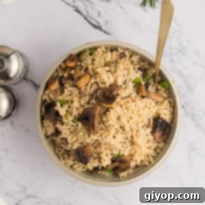 A serving of mushroom rice in a bowl.