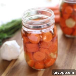 A jar of quick pickled carrots, showcasing the recipe's vibrant and fresh appeal.