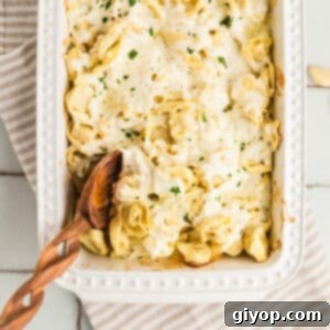 Creamy Baked Tortellini Alfredo 2 A serving of Alfredo Tortellini Bake being scooped from a casserole dish.