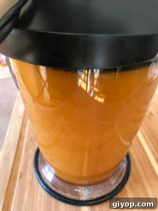 A blender with dried apricot inside