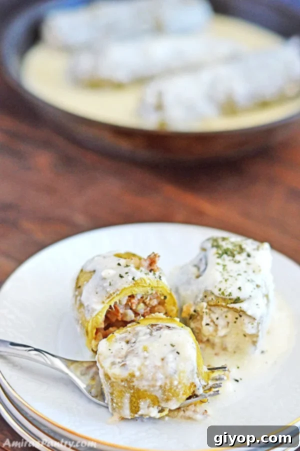 A photos showing stuffed Zucchini on a plate with Yogurt