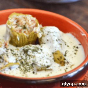 A bowl of food on a plate, with zucchini and Yogurt