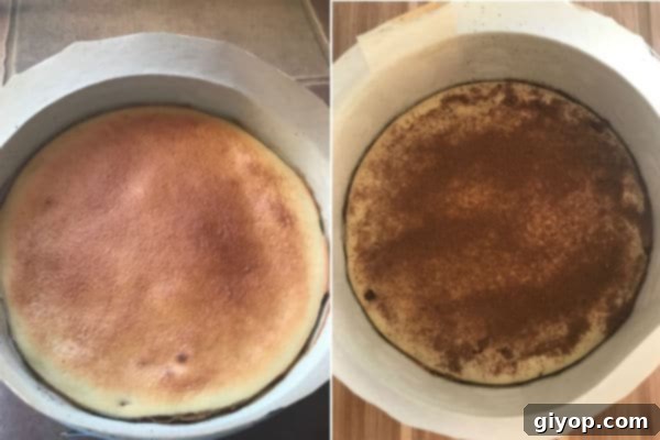 Visual guide for assembling the cinnamon layered cake, showing how to evenly spread the first layer of batter in the prepared springform pan.