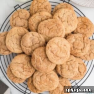 An overhead image of snickerdoodle cookies on a cooling rack.