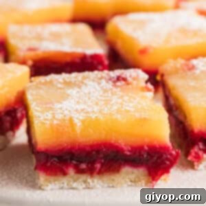 A close up image of cranberry lemon bars on a baking sheet, showcasing their beautiful layers.
