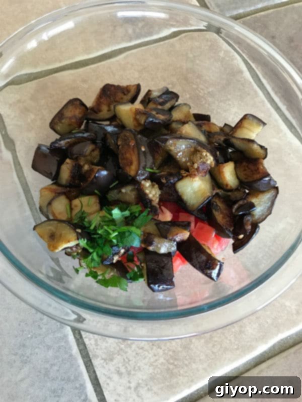 Vibrant Mediterranean Eggplant Salad 4 A vibrant Mediterranean Eggplant Salad mixture, with sautéed eggplant, diced tomatoes, and fresh parsley, all combined in a large bowl, glistening with a preliminary drizzle of dressing.