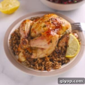 A small chicken on a plate of wild rice.