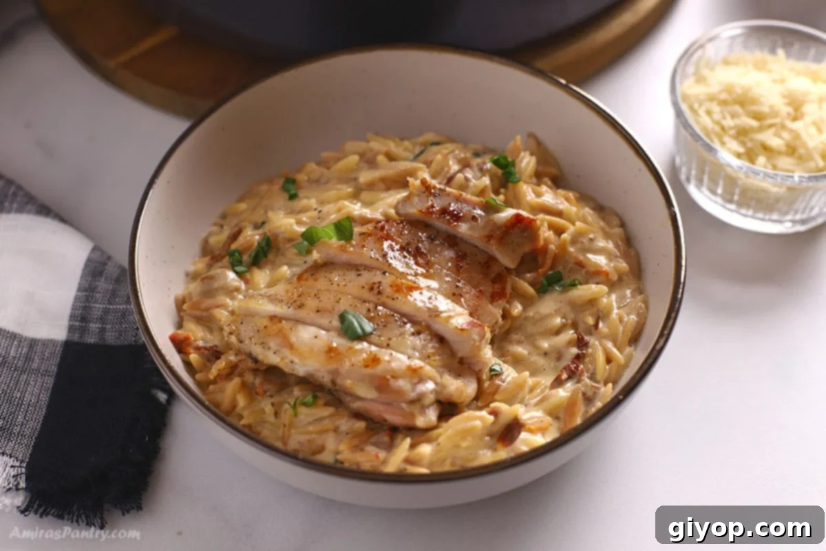 A close-up view of a single serving of creamy Tuscan Chicken Orzo on a plate, garnished with fresh basil, showcasing its rich texture and vibrant colors.