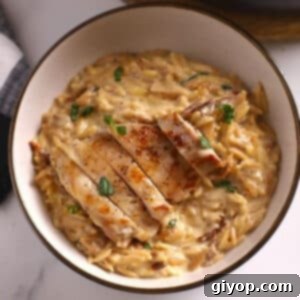 An inviting overhead image of a bowl of creamy Tuscan Chicken Orzo, ready to be served.