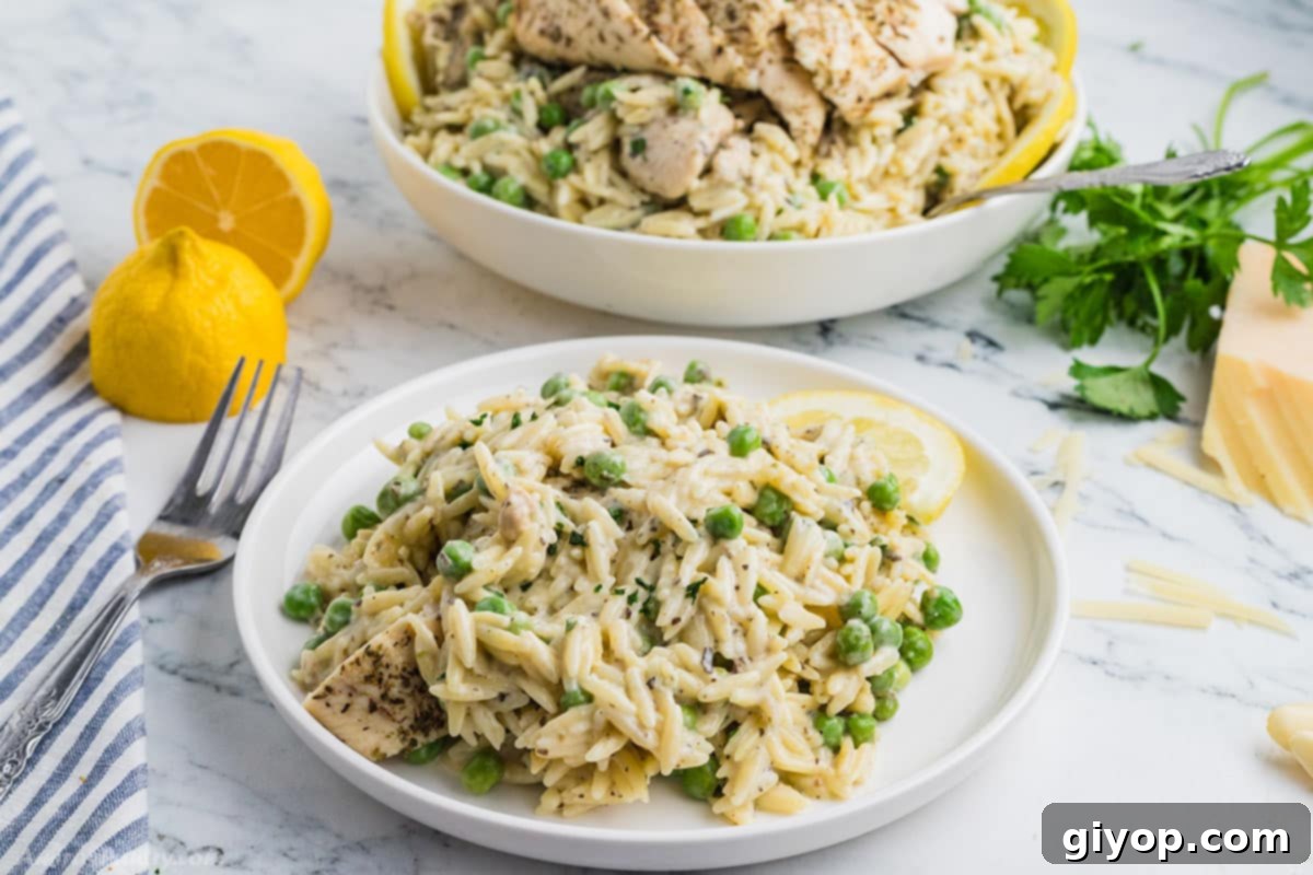 Bright Lemon Chicken Orzo 3 A perfectly portioned serving of Lemon Chicken Orzo on a white plate, ready to be enjoyed.