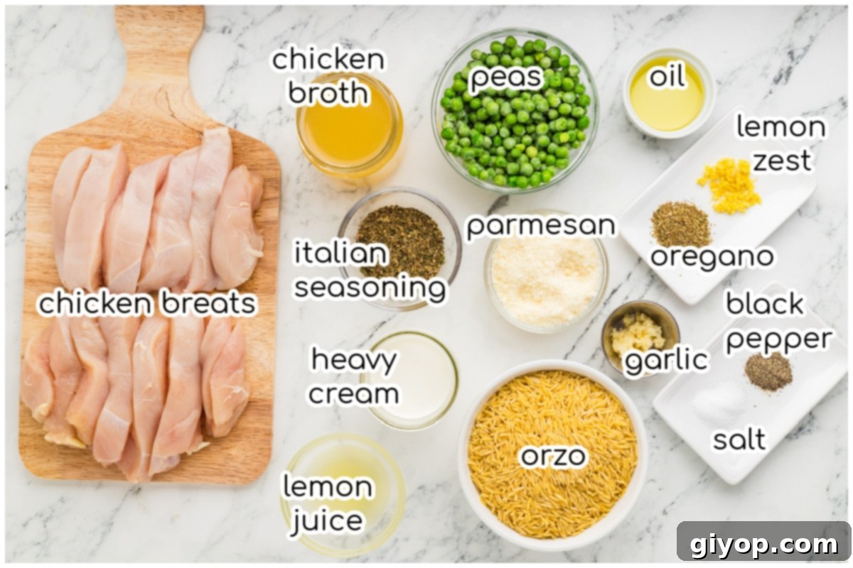 Bright Lemon Chicken Orzo 5 All ingredients for the creamy lemon chicken orzo recipe laid out, including chicken, orzo, lemon, herbs, and cream.