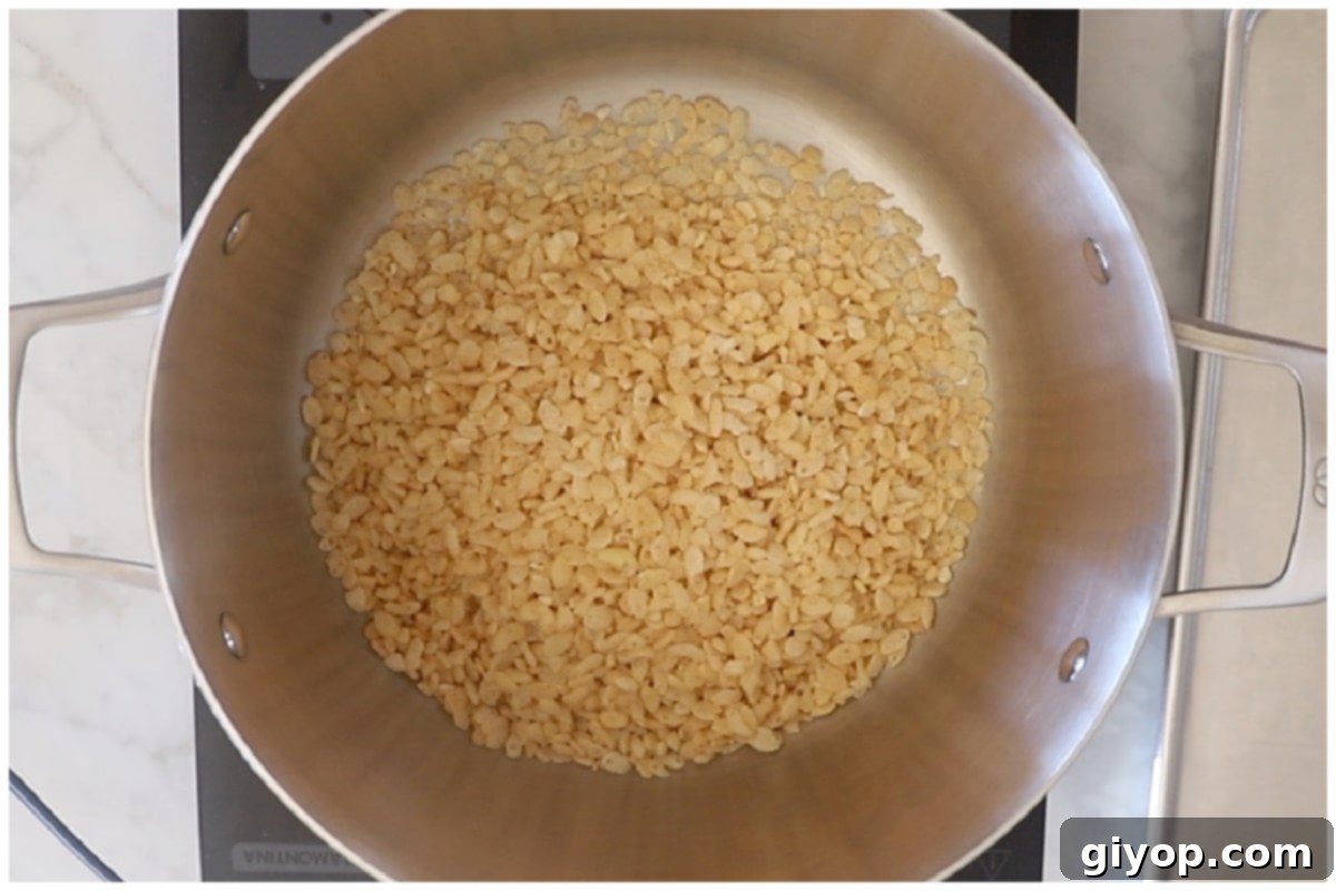 Close-up shot of dry Rice Krispies cereal in a large pot, gently toasting over medium heat, beginning to acquire a subtle golden hue.
