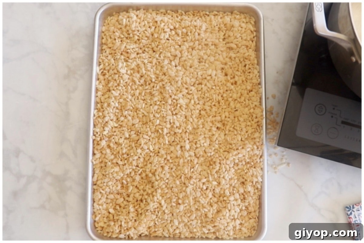 Freshly toasted Rice Krispies cereal evenly spread across a baking sheet, cooling down after being removed from the pot, ready for the next step.