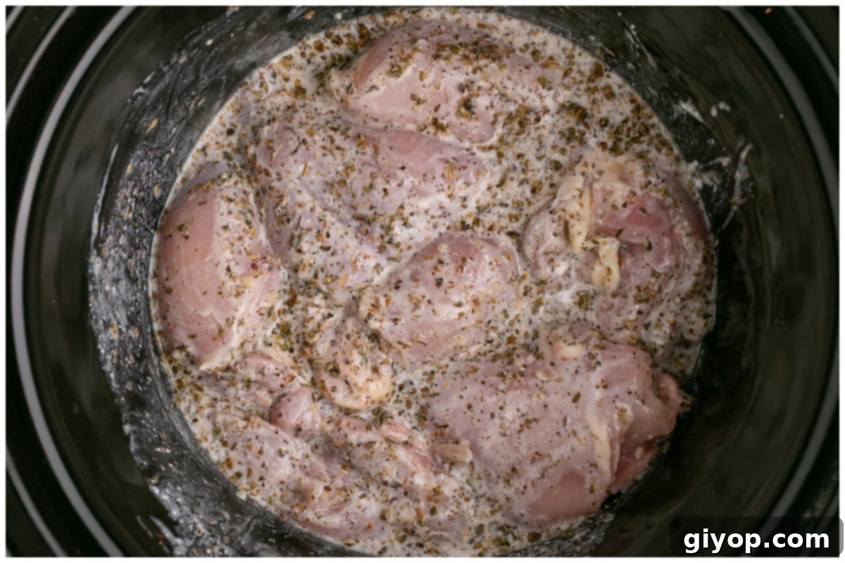 Set-It-and-Forget-It Chicken Gyros 7 Chicken thighs fully coated with a rich marinade inside the slow cooker, ready for cooking.