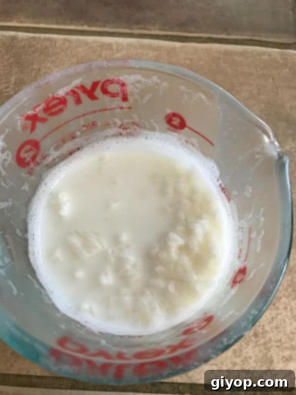 A cup with Rice pudding