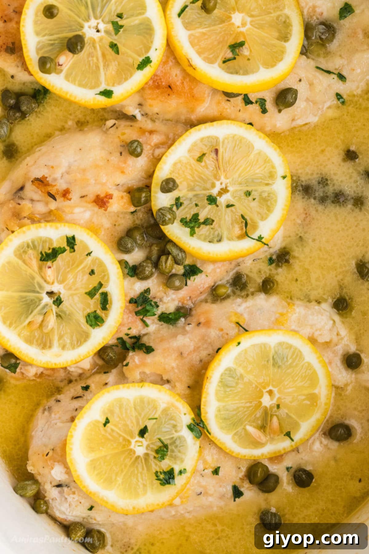An overhead image of Slow Cooker Chicken Piccata served in a white bowl with lemon slices and fresh parsley, ready to eat.