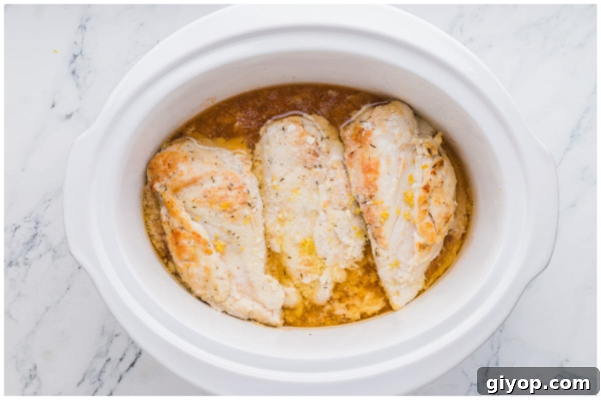 Tender chicken breasts nestled in a slow cooker, surrounded by the aromatic broth and lemon zest, ready to cook.