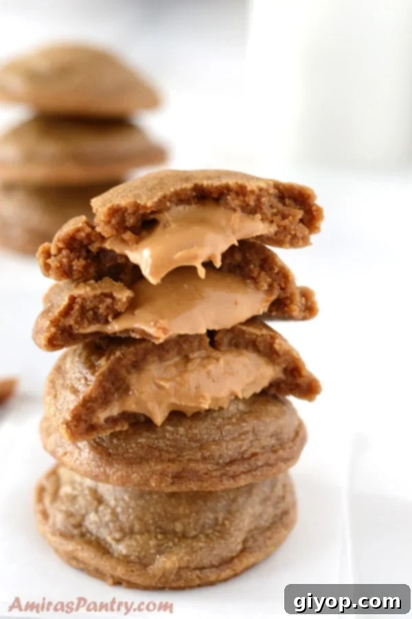 A close up of a peanut butter cookies
